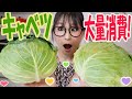 【簡単】ロールキャベツ！巻かないで作れる！