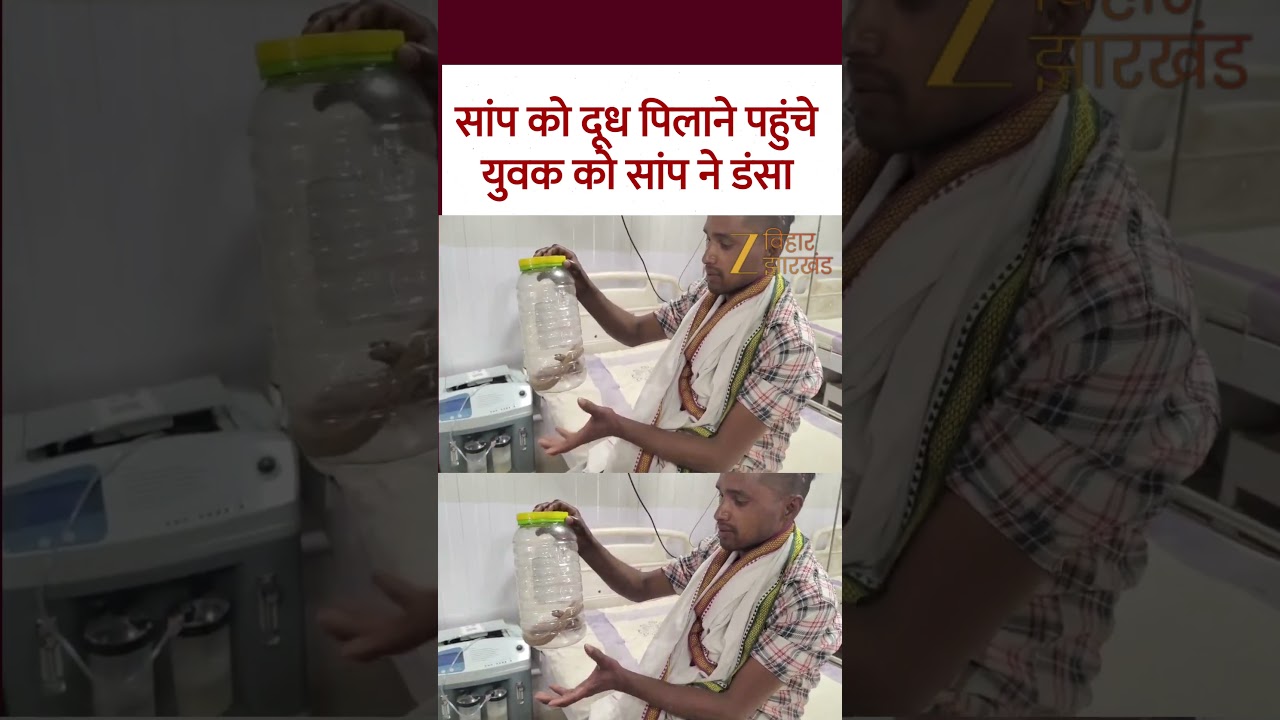 Snakebite Viral Video : सांप को दूध पिलाने पहुंचे युवक को सांप ने डंसा