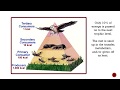 Energy Flow and Interactions in Desert Ecosystems
