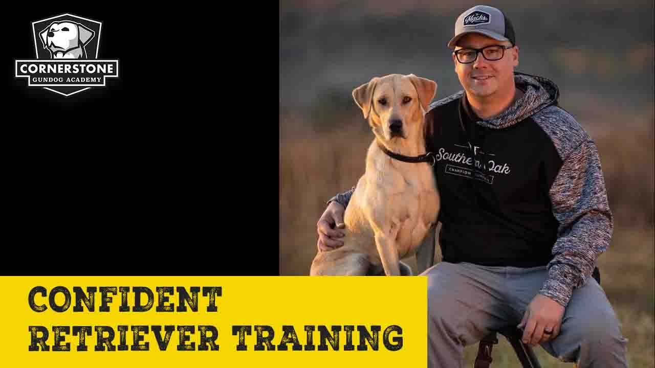 From Afraid to Fail to Passionate Dog Trainer | Chad Batton