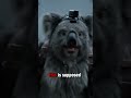Jurassic Koala