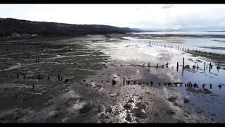 Parklea Timber ponds, Port Glasgow
