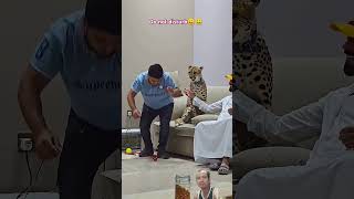 Download Lagu Do not disturb #funny #comedy #lion#animals#dosa #shortvideo#fypyoutube#shorts #fyp#beranda #quotes MP3