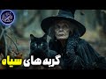 آیا گربه های سیاه بدشانسی می آورند 
