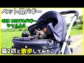 ペット用バギーで猫2匹と散歩してみた♪【GEX OSOTOバギー シャルム3 開封 & レビュー】