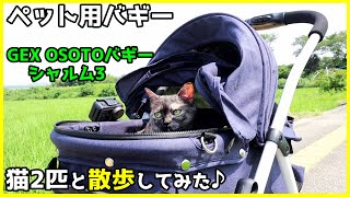 ペット用バギーで猫2匹と散歩してみた♪【GEX OSOTOバギー シャルム3 開封 & レビュー】