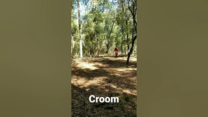 Croom