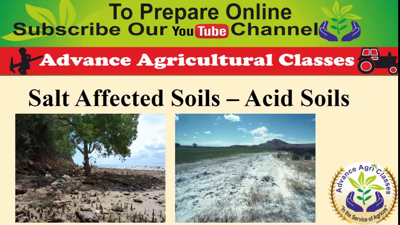 Acidic soils part 1- Salt Affected Soils IBPS AFO Hindi/English