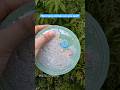 I-spy activity for quiet book?