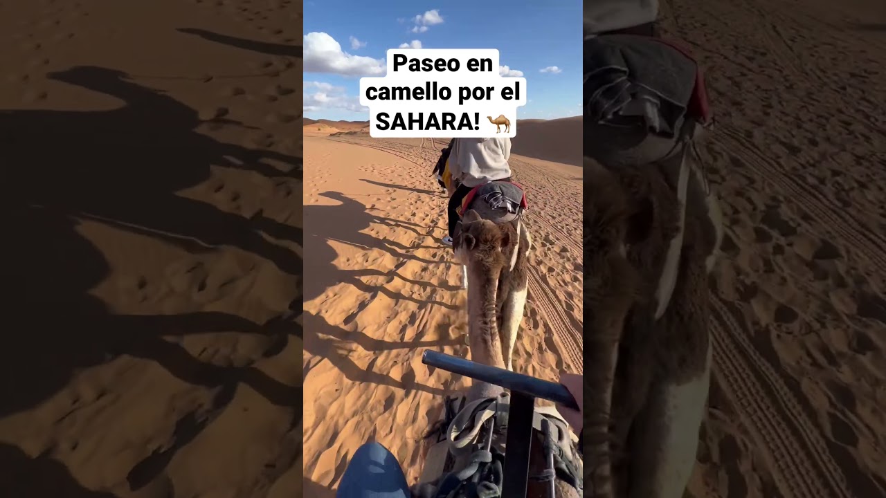 Las mejores vistas del Desierto del Sahara! 🇲🇦 Increíble paseo en camello! 🐪