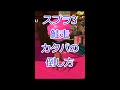 カタパの倒し方【サーモンランNW】【スプラ3】
