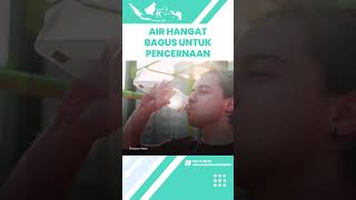 Luar Biasa Minum Air Hangat Bagus untuk  Pencernaan, Termasuk Menghilangkan Limbah