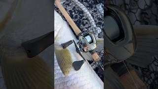 2025 Antares vs Giant Barramundi! #fishing #lure #barra #shimano screenshot 2