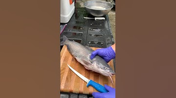 Cleaning a blue catfish #fishing #diy #catchcleanandcook