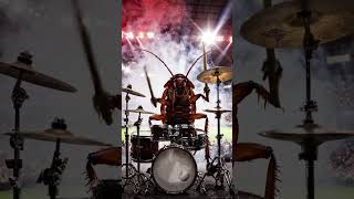 scary Cockroach playing drum #cockroach video #ghost party