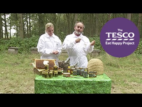 Yummy Honey: why are bees important? Instructional Video