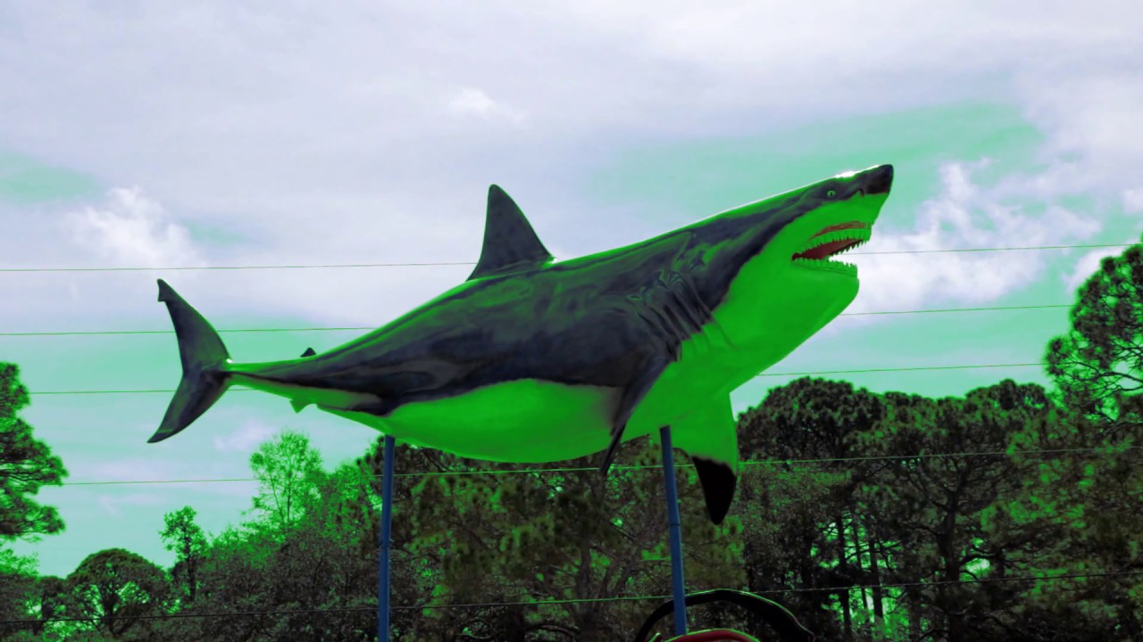 reptile care app Florida Trip and Gulf Specimen Aquarium complete tour .