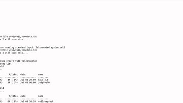 How to Restore a Single File from a SnapShot Copy in Data OnTap CLI by Nicholas Lee Fagan