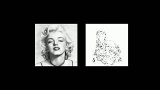 Self-Organizing Maps and Marilyn Monroe