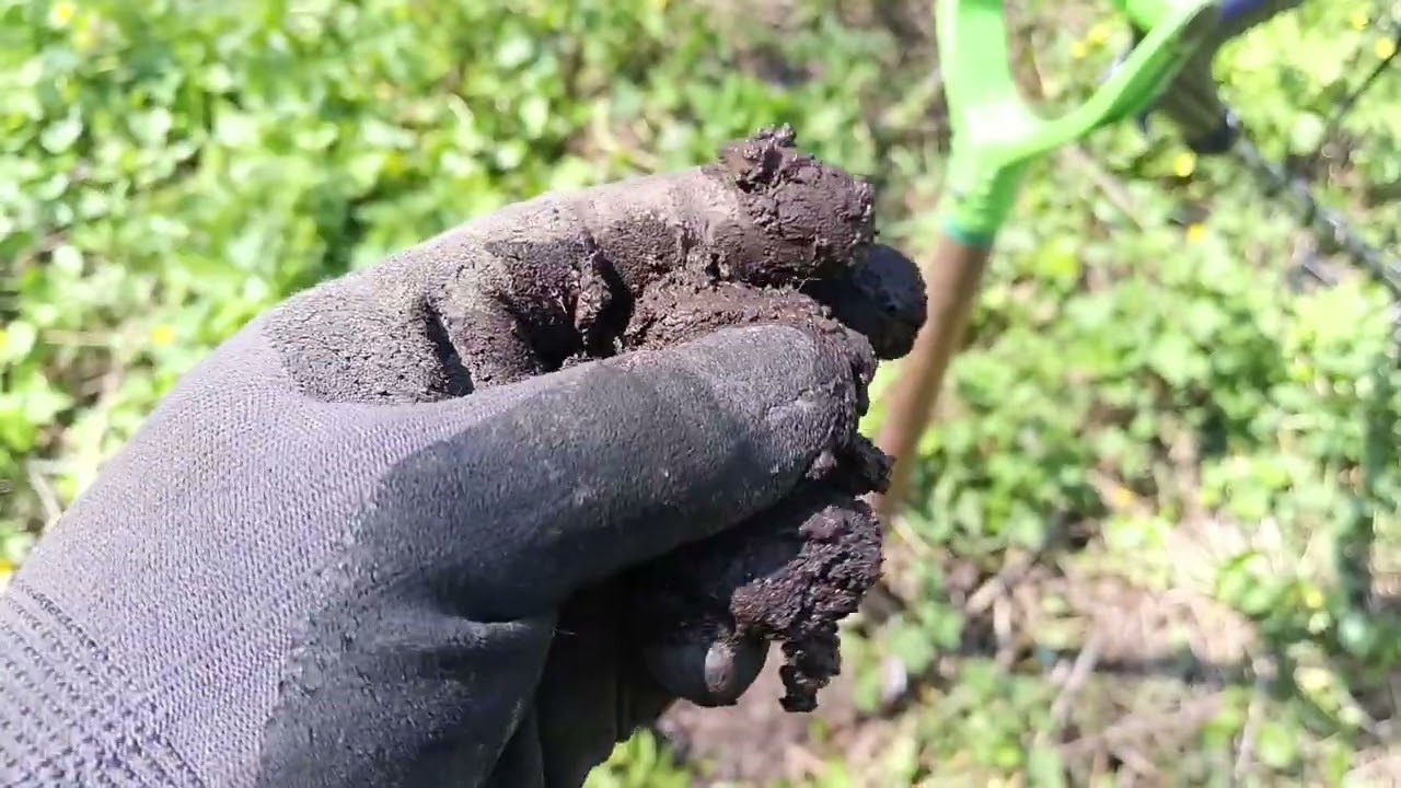 Поиск дома лесника.