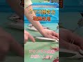 カマス塩焼き用捌き方#shorts #short #new #fish #howto #cooking #おすすめ #簡単 #料理 #釣り #楽しい #チャレンジ #趣味 #ミッション #神奈川