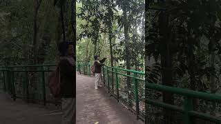 Download Lagu Jalan kaki di Babakan Siliwangi #city #forest #liburan #murah #bandung #travel MP3
