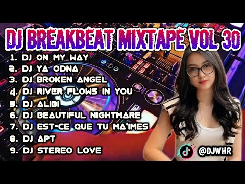 DJ BREAKBEAT MIXTAPE VOLUME 30