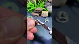 Single Solid Wire Connection Technique On Screws #shortvideo #screw
