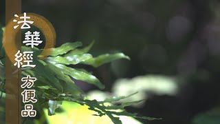 【靜思妙蓮華】法華經方便品 - 禮敬聖師 聞法信受 - 20200825 第435集