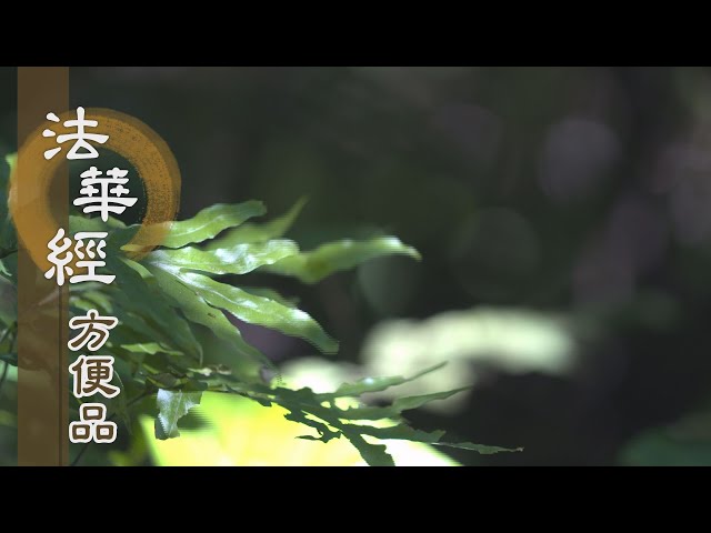 傳教大師 一千百五十年 遠忌大法要 音源盤 傳教大師 一千百五十年 遠忌大法要 音源盤