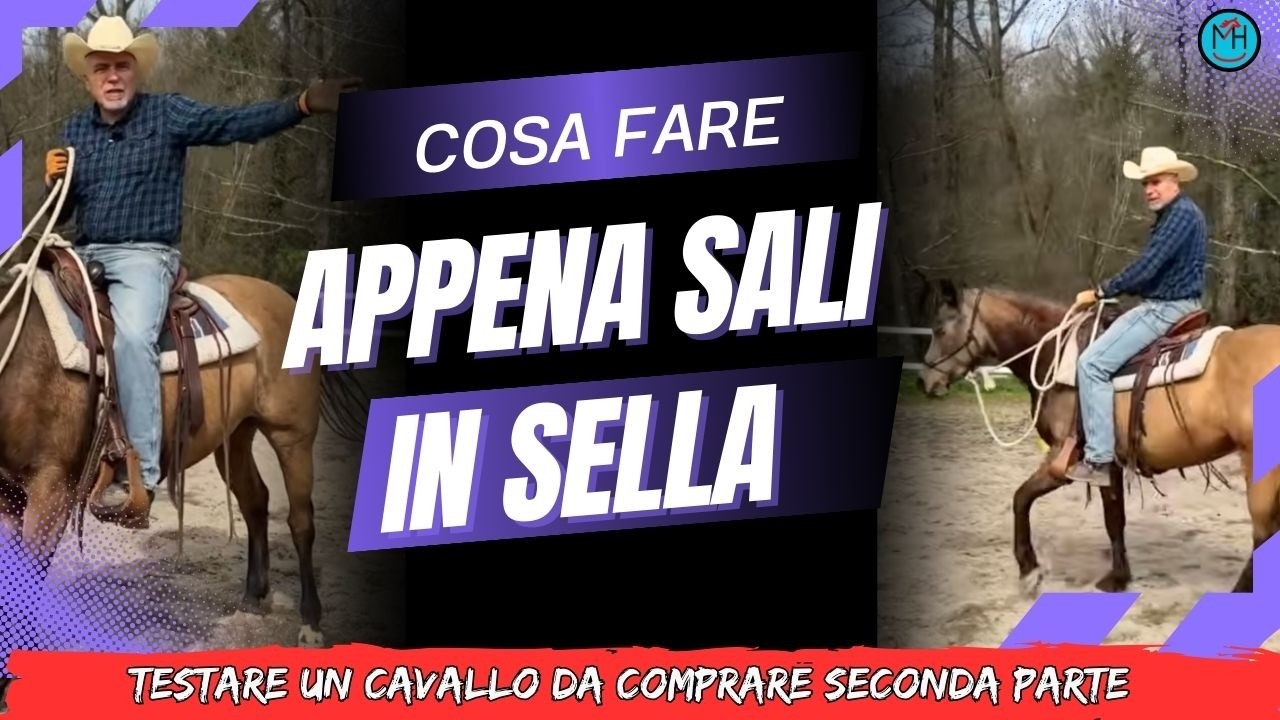 Le prime cosa da fare appena sali su un cavallo che non conosci