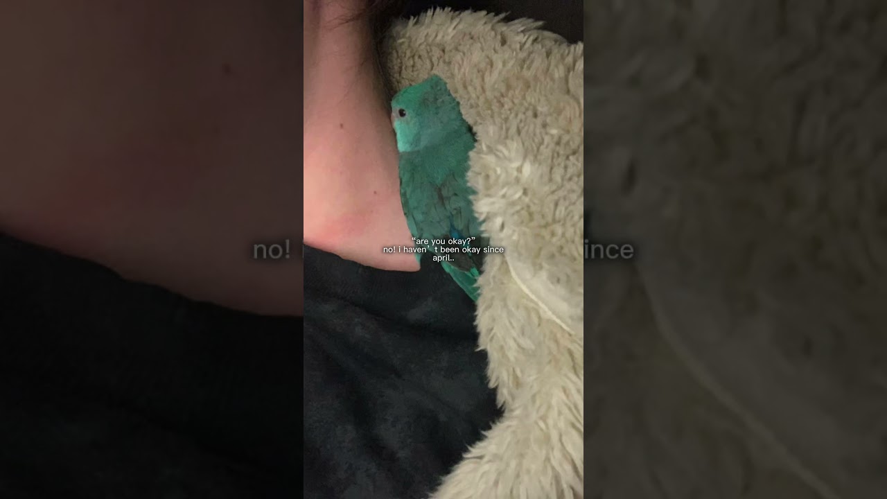 this edit made me cry 😢🕊️💔 | i miss her | (april 2025) 