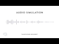 Auditory Processing Disorder Simulation