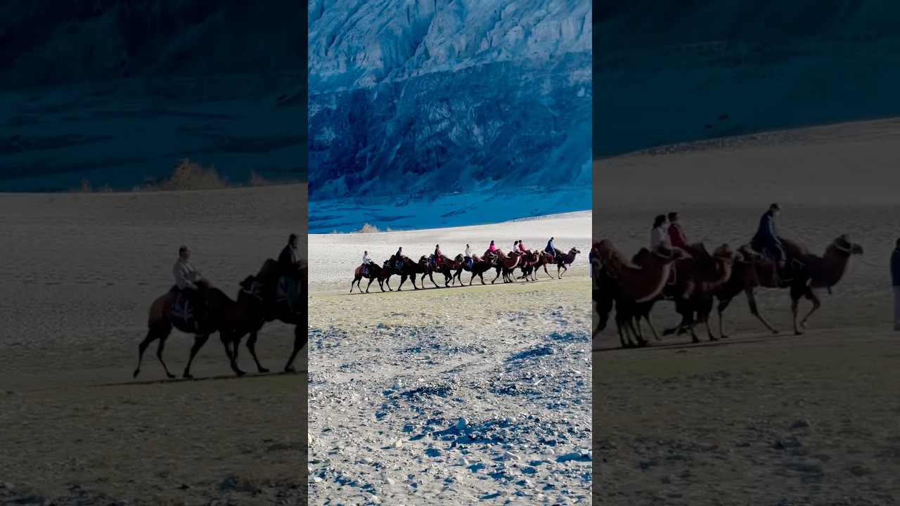 Camel Ride at Nubra Valley Sand Dunes 