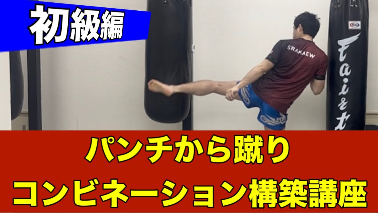 格闘技練習 Beginner Level] A Course on Building Combinations from Punches to