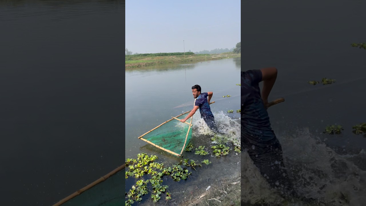 Amazing Shati Fish Catch | Traditional Village Life 