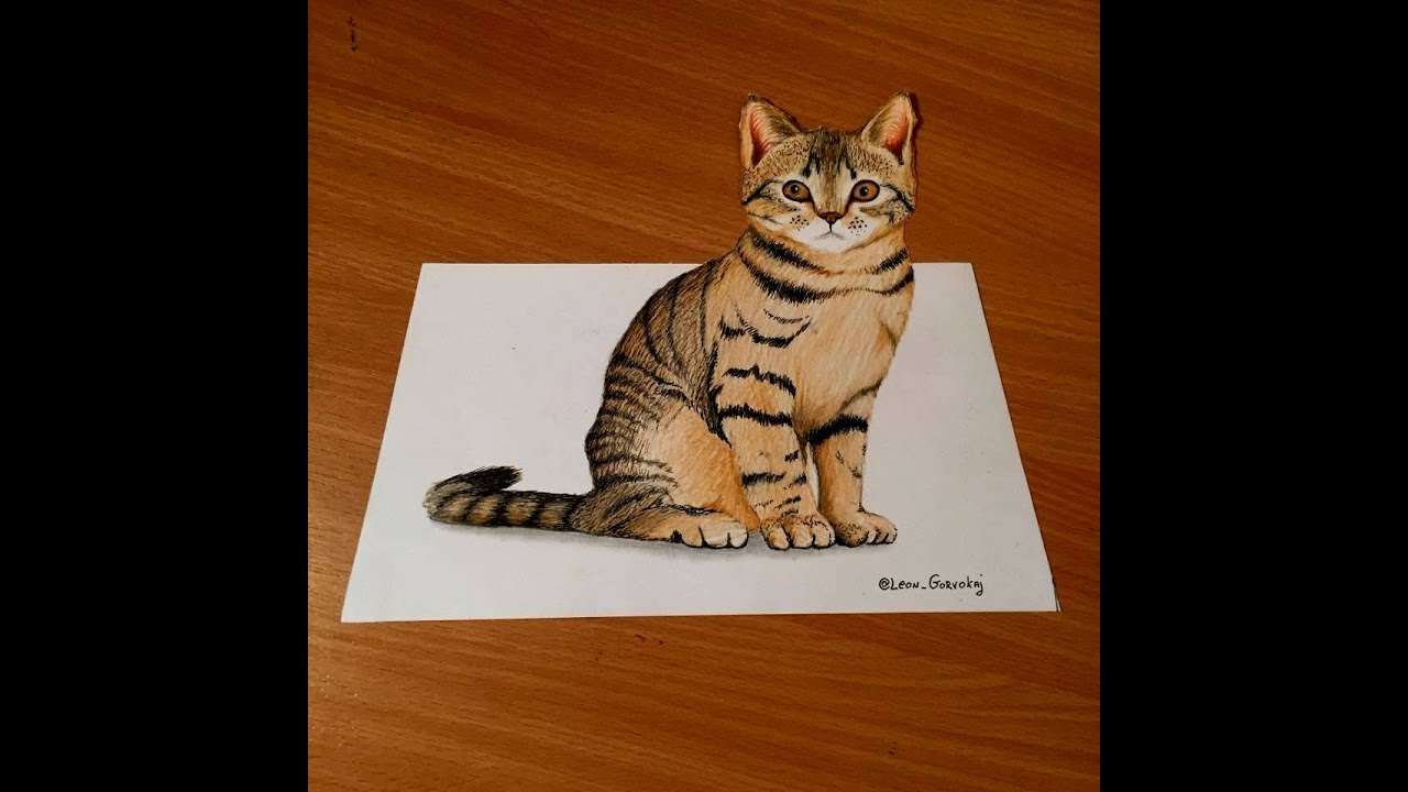  3D  cat drawing  YouTube