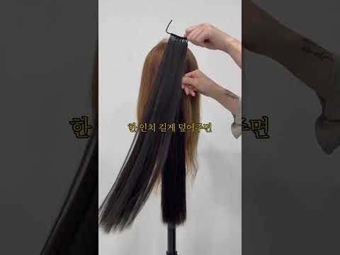 유튜브 쇼츠