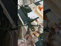 iflight nazgul dc5 eco v1.1 DANGER THINGS.... Achtung Gefahr!!!
