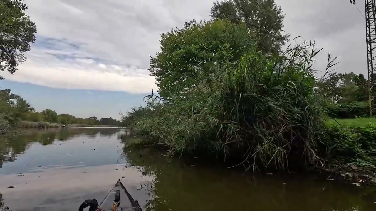 Tiszaug / 2023.09.30.