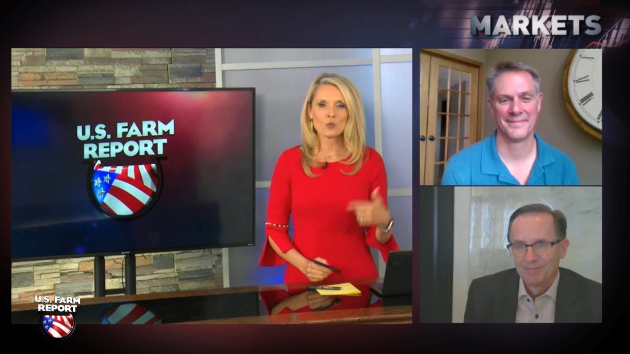 Is the U.S. Soybean Crop Getting Smaller?