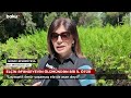 Elçin Əfəndiyevin ölümündən bir il ötür | Xalq yazıçısının məzarı ziyarət edildi - Baku TV