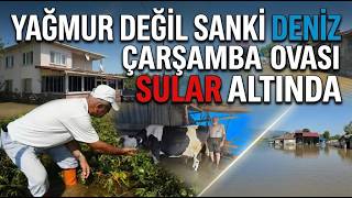 127,2 Kilogram Yağış, Çarşamba’da Hayat Felç... Evler ve Tarlalar Sular Altında