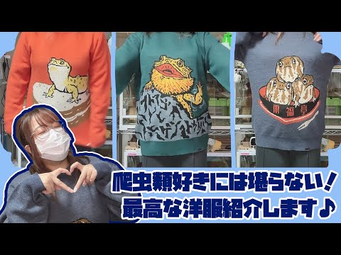 go slow caravan] You can never have too many of these. - YouTube