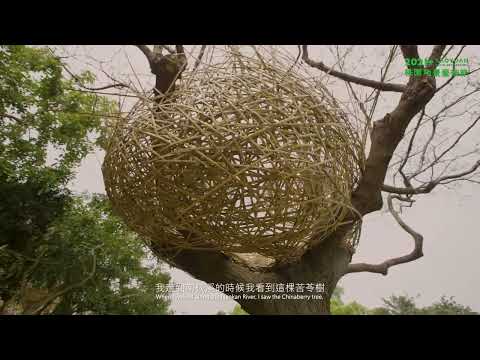 2021+桃園地景藝術節《築一個巢》導覽影片