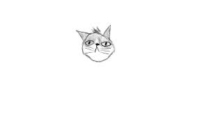 Cat Face krita animation test (8fps)