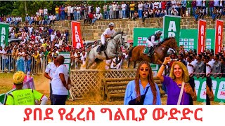 Horse Jumping Masterclass: Highlights from Addis Ababa Ethiopia