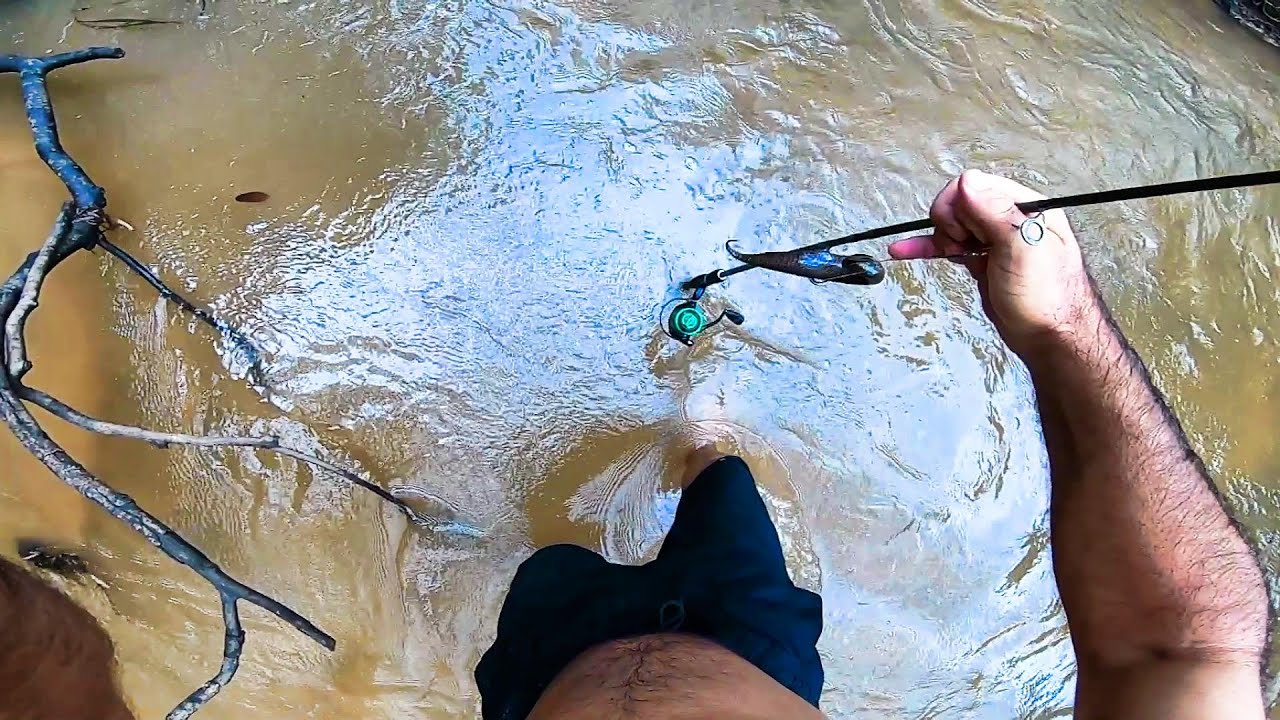 PESCA Y AVENTURA EN LA SELVA CORRENTINA, Pescaria na Argentina, PESCA URBANA.