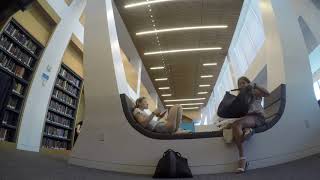 Celebrity Milstein Center Time-Lapse Net Worth