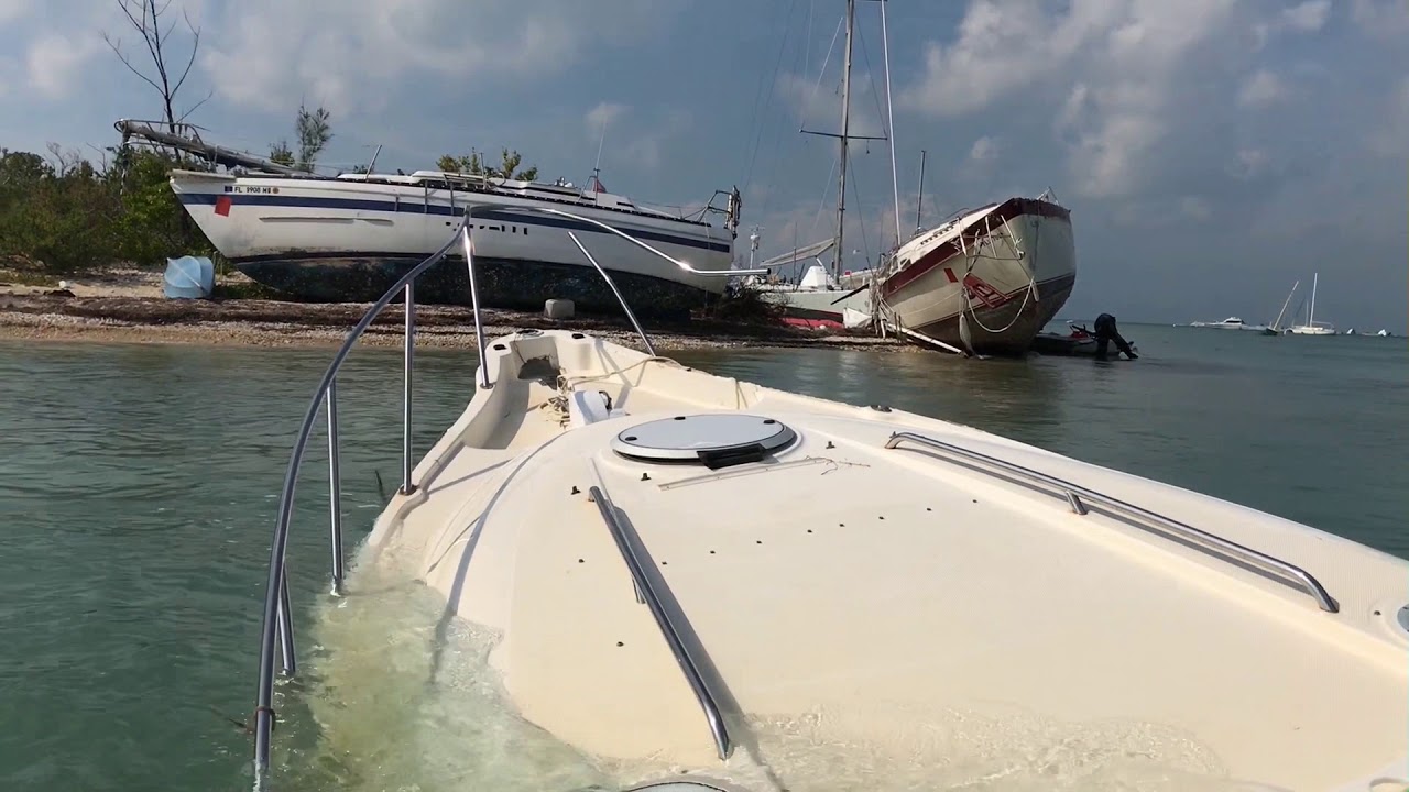 Wisteria (Christmas Tree) Island 11/23/2017 YouTube